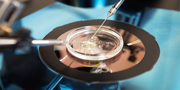 Assisted Reproductive Technology