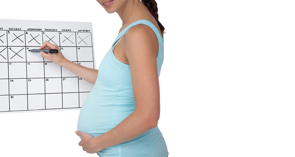 Fertility Calculator